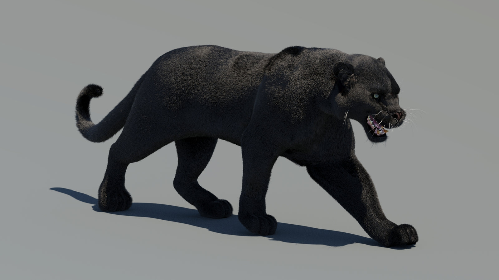Animated Black Panther 3D Model Fur 360° view 2 frame 35