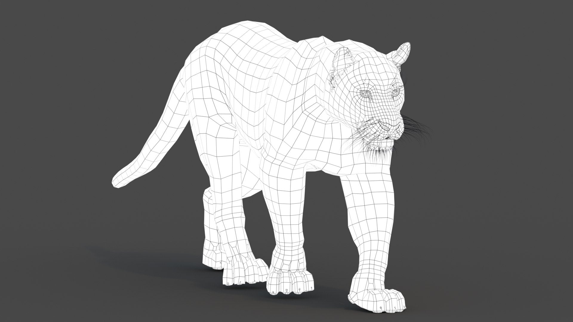 Leopard and Panther Animated 3D Model