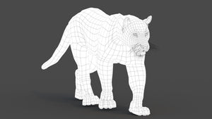 Leopard and Panther Animated 3D Model Thumbnail