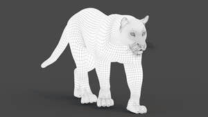 Leopard and Panther Animated 3D Model Thumbnail