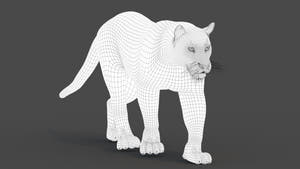 Leopard and Panther Animated 3D Model Thumbnail
