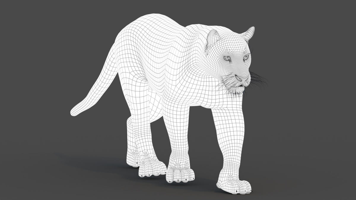 Leopard and Panther Animated 3D Model
