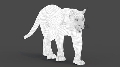 Leopard and Panther Animated 3D Model