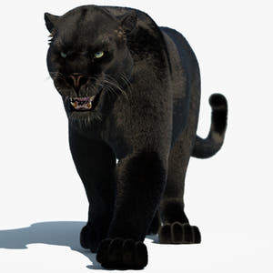 Animated Black Panther 3D Model with Fur Thumbnail