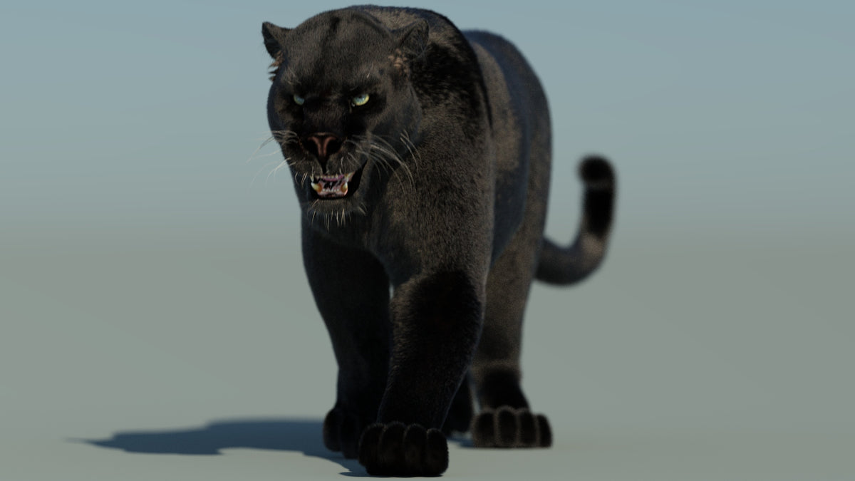 Animated Black Panther 3D Model with Fur