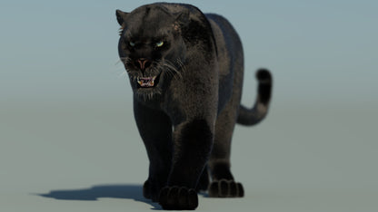 Big Cats Ultimate 3d Models Bundle