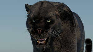 Animated Black Panther 3D Model with Fur Thumbnail