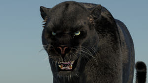 Animated Black Panther 3D Model with Fur Thumbnail