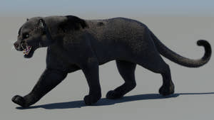 Animated Black Panther 3D Model with Fur Thumbnail