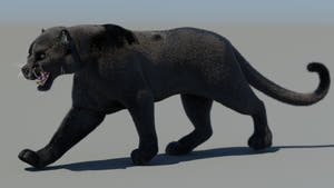 Animated Black Panther 3D Model with Fur Thumbnail
