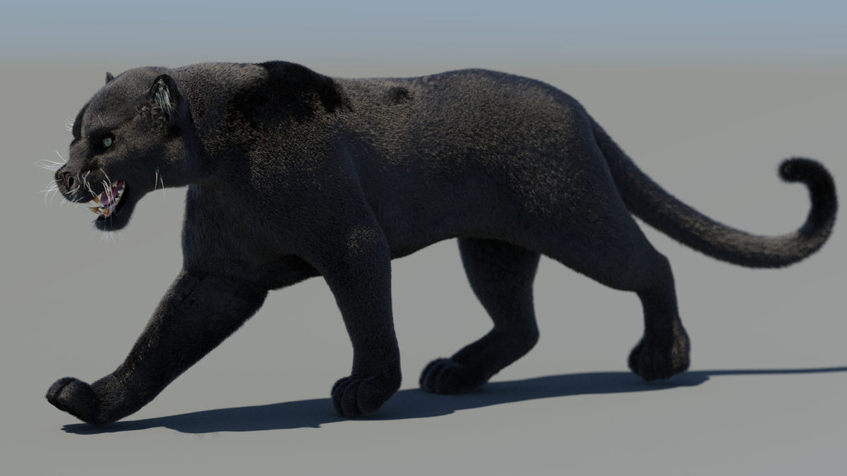Big Cats Ultimate 3d Models Bundle