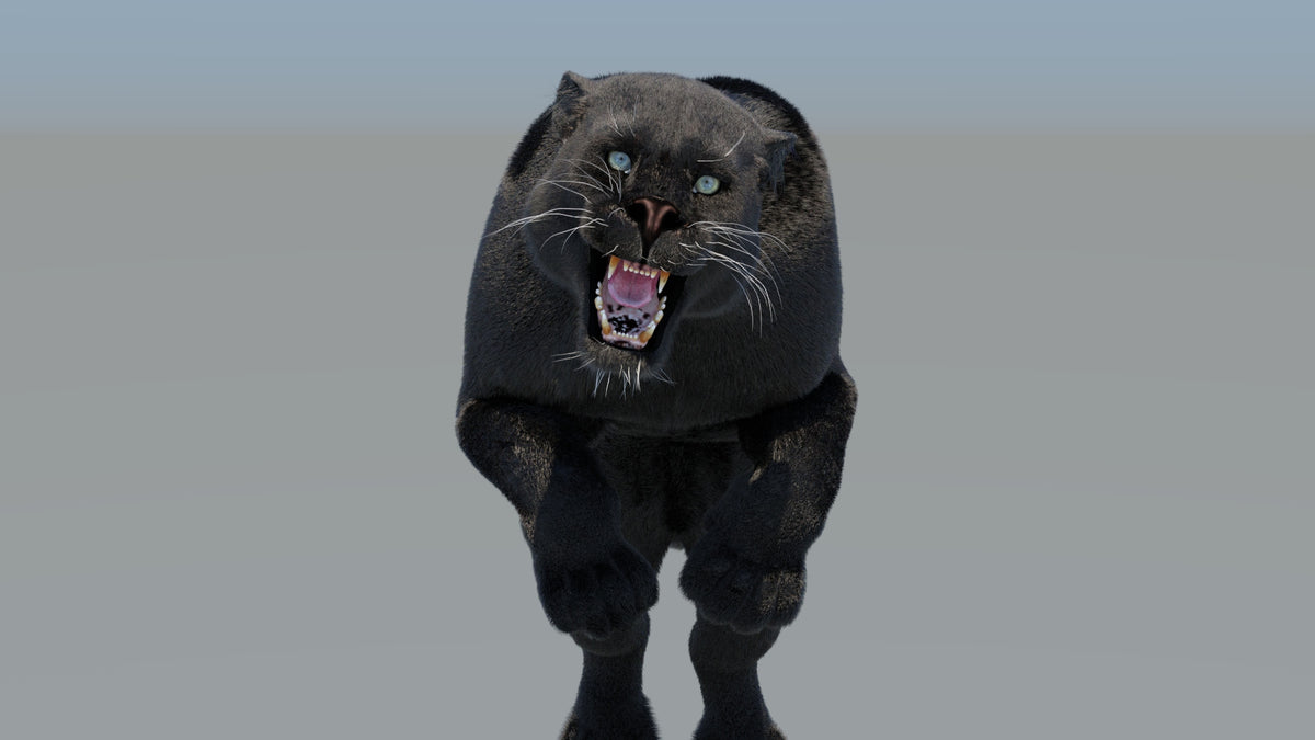 Animated Black Panther 3D Model with Fur