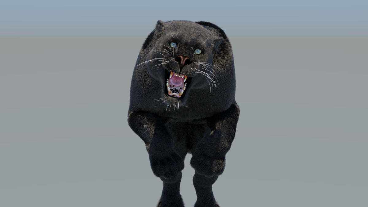 Big Cats Ultimate 3d Models Bundle