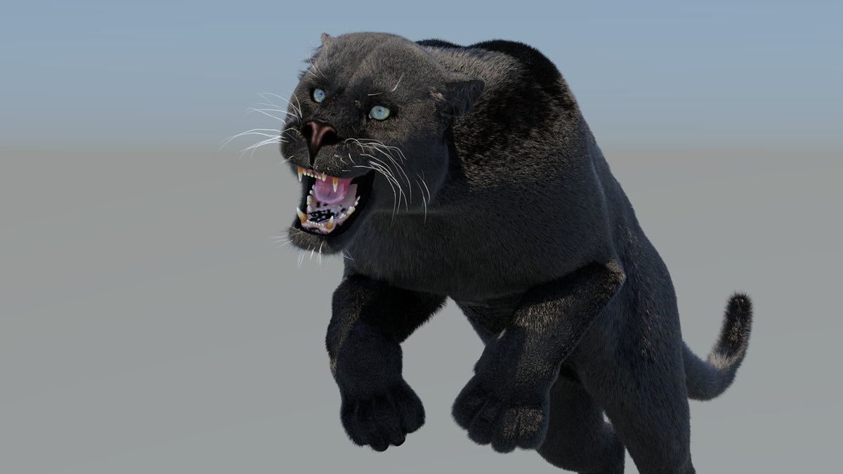 Animated Black Panther 3D Model with Fur