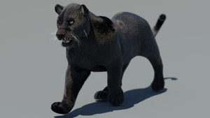 Animated Black Panther 3D Model with Fur Thumbnail