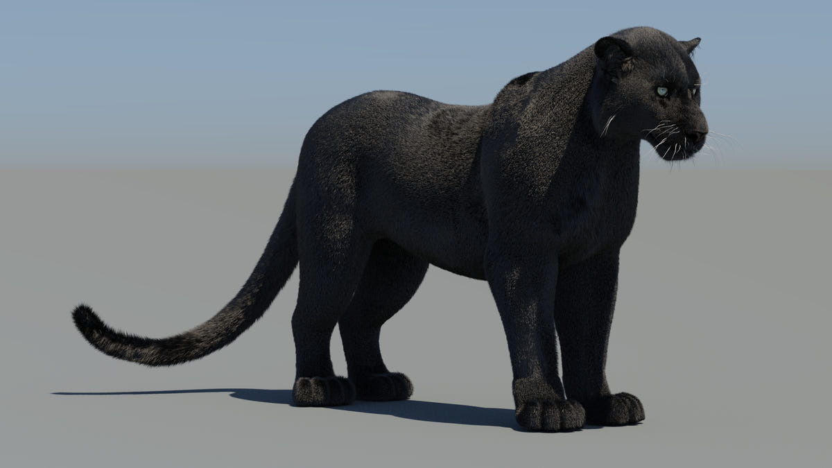 Big Cats Ultimate 3d Models Bundle