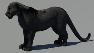 Animated Black Panther 3D Model with Fur Thumbnail