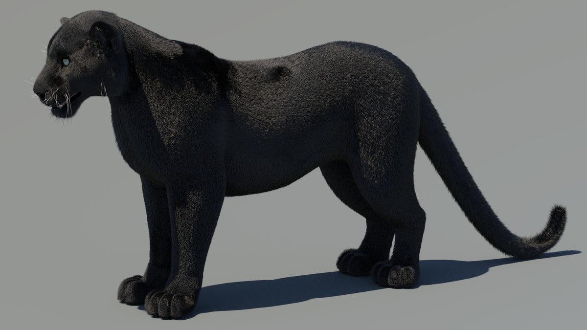 Animated Black Panther 3D Model with Fur