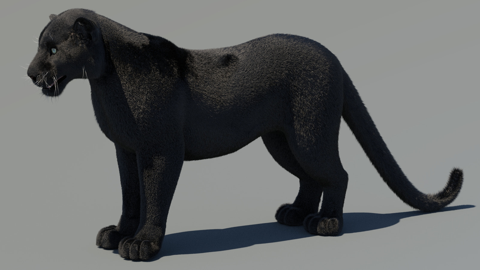 Animated Black Panther 3D Model with Fur