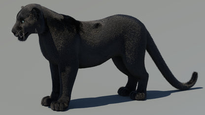 Animated Black Panther 3D Model Fur