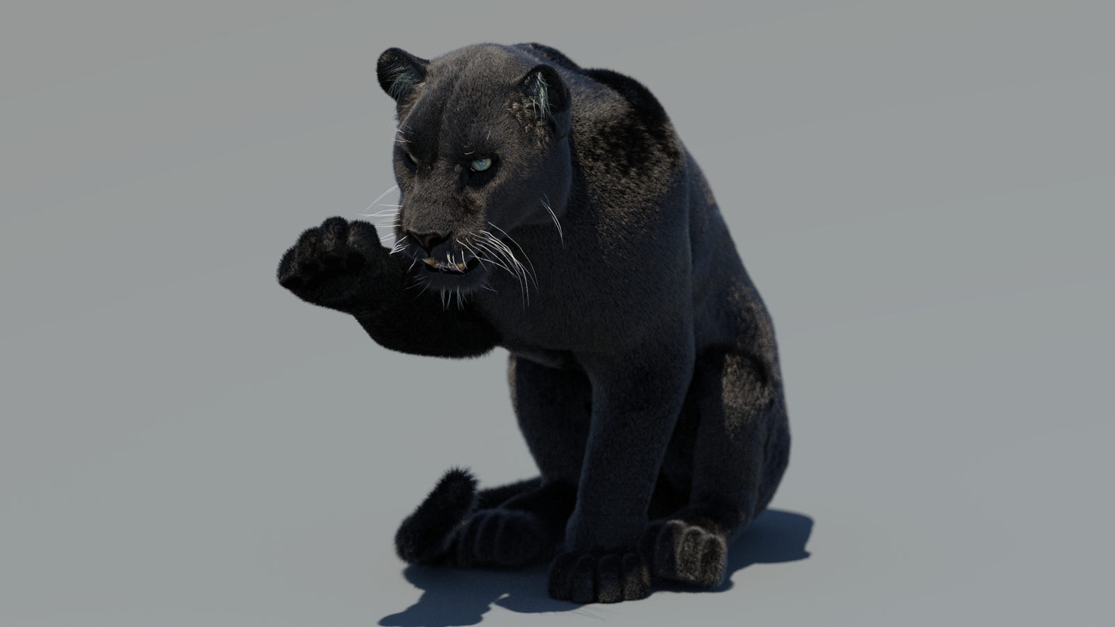 Big Cats Ultimate 3d Models Bundle