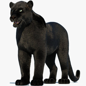 Black Panther 3D Model with Fur Thumbnail