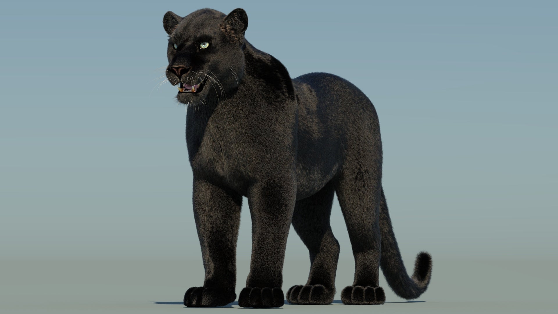 Black Panther 3D Model with Fur