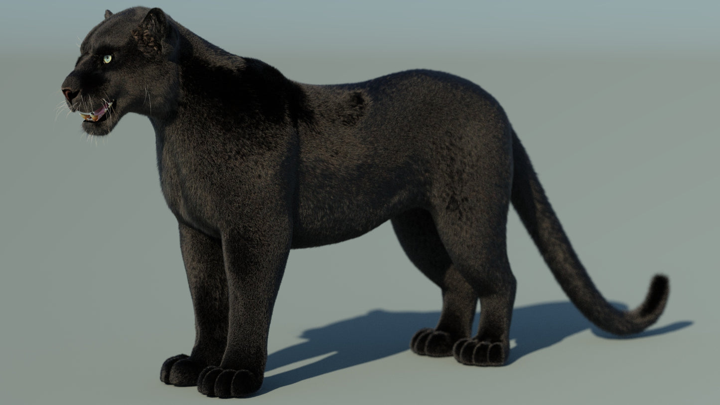 Black Panther 3D Model with Fur