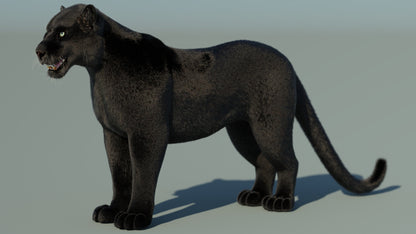 Black Panther 3D Model with Fur