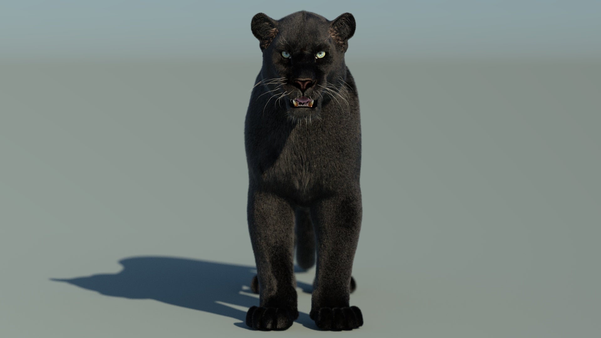 Black Panther 3D Model with Fur