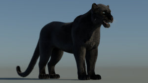 Black Panther 3D Model with Fur Thumbnail