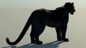 Black Panther 3D Model with Fur Thumbnail