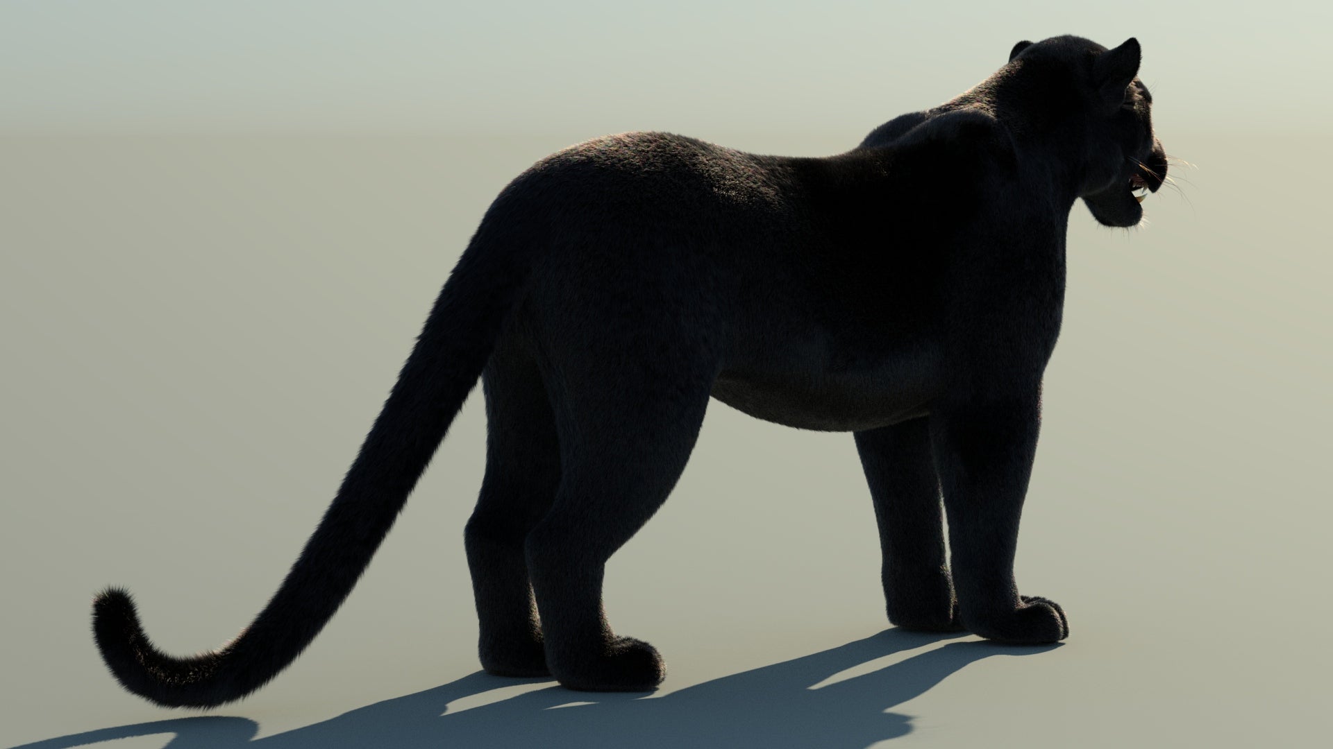Black Panther 3D Model with Fur
