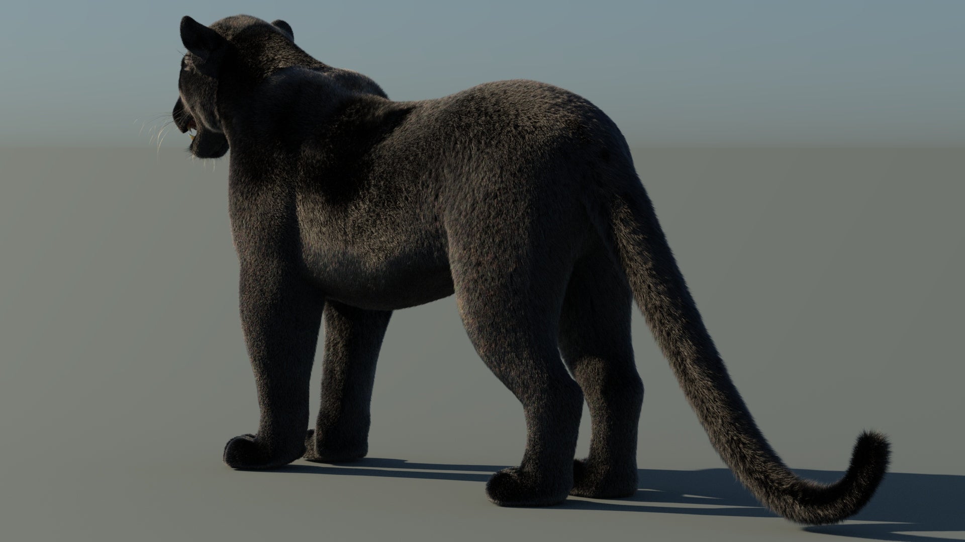 Black Panther 3D Model with Fur