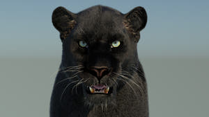 Black Panther 3D Model with Fur Thumbnail