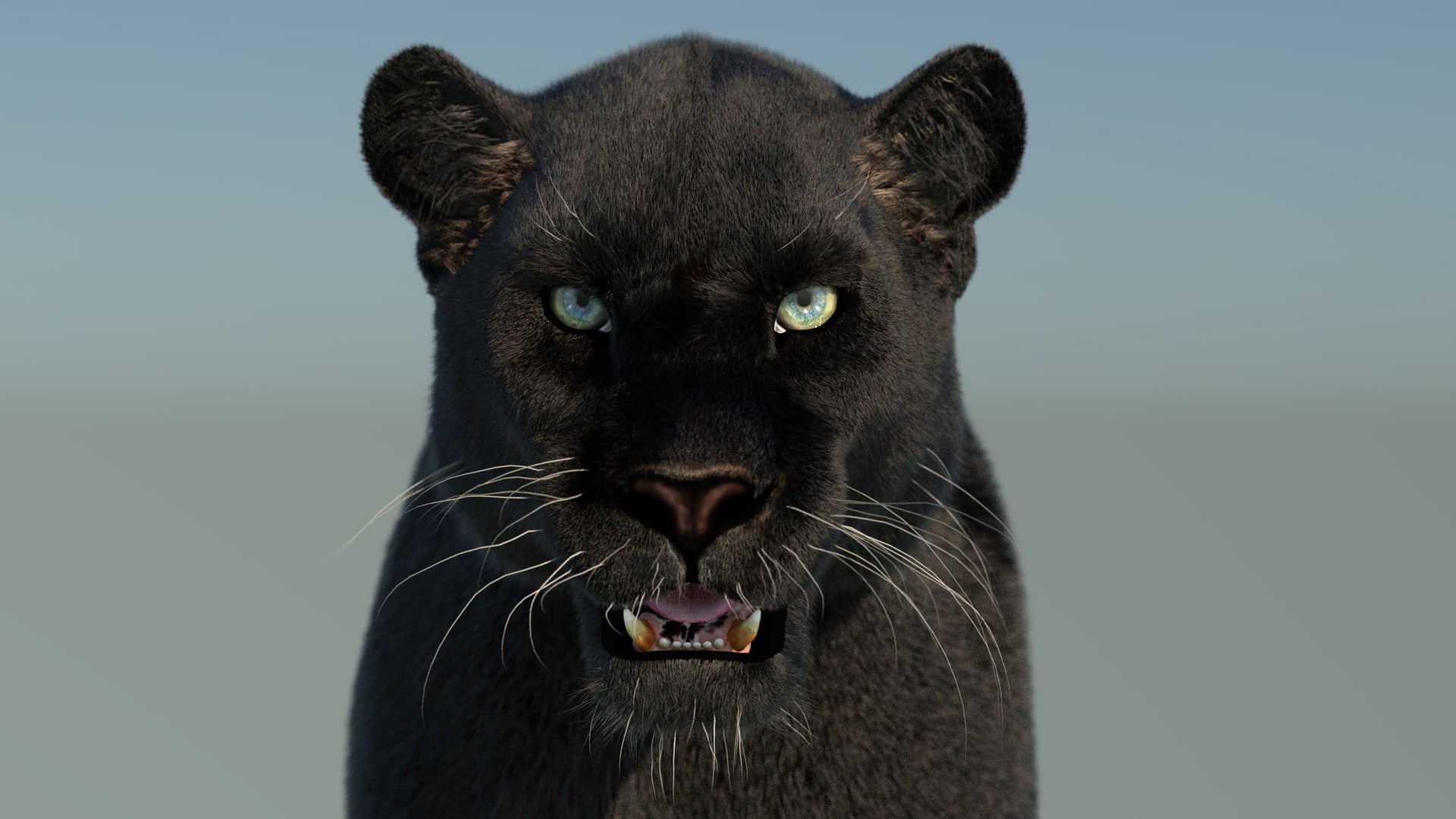 Black Panther 3D Model with Fur