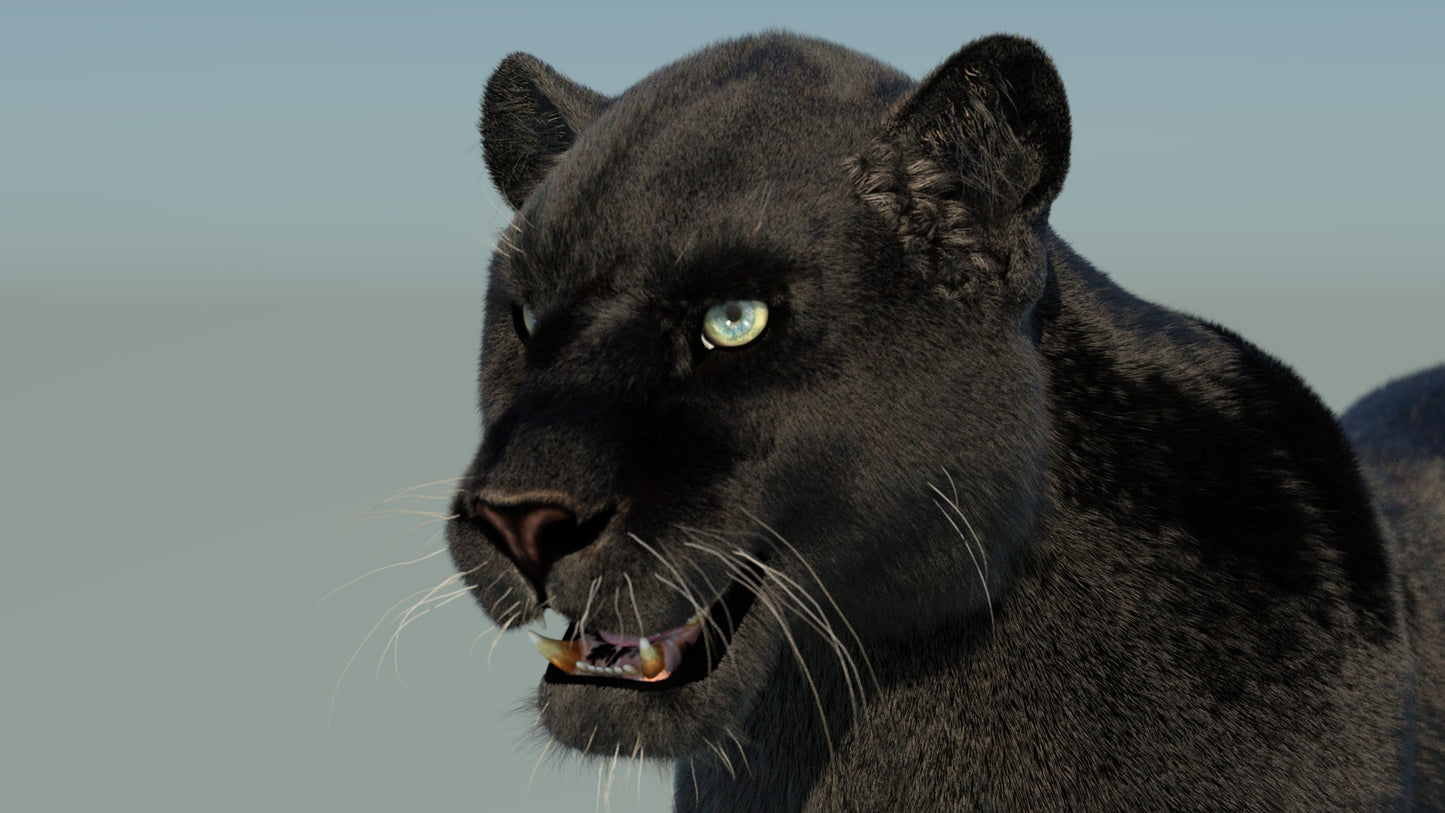 Black Panther 3D Model with Fur