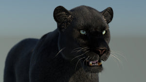 Black Panther 3D Model with Fur Thumbnail