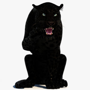 Rigged Black Panther 3D Model Thumbnail