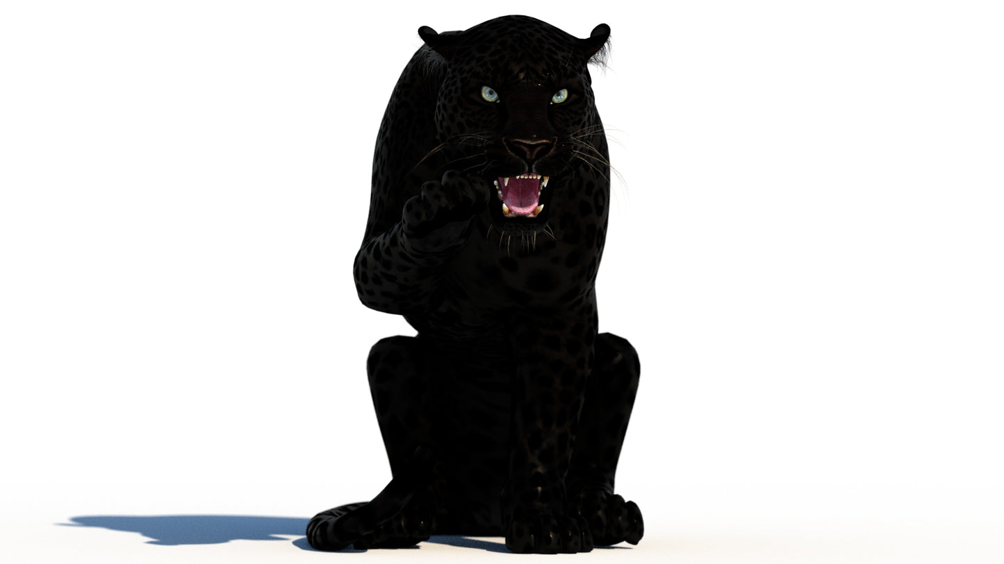 Rigged Black Panther 3D Model
