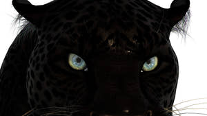 Rigged Black Panther 3D Model for Download Thumbnail