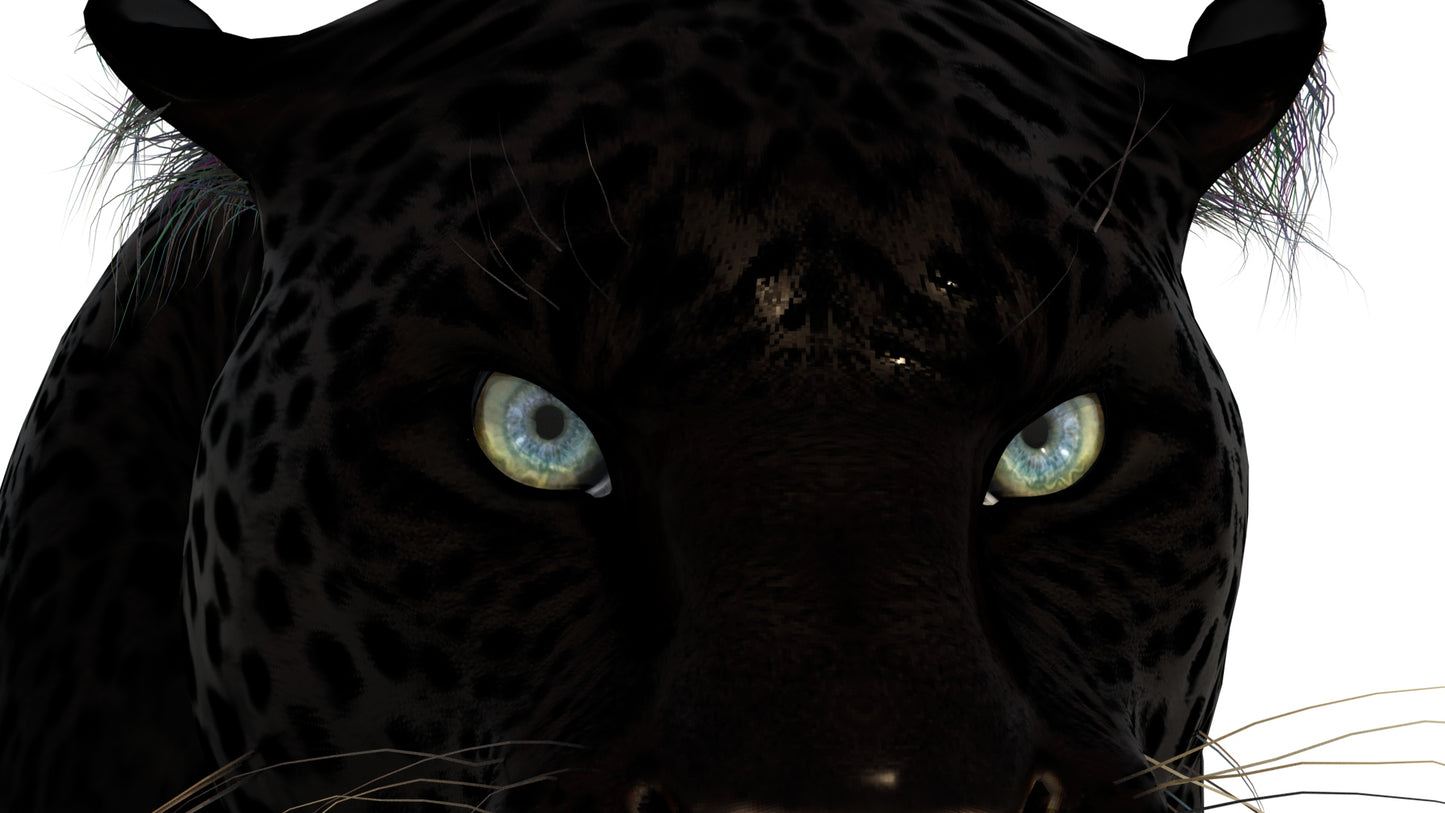 Rigged Black Panther 3D Model