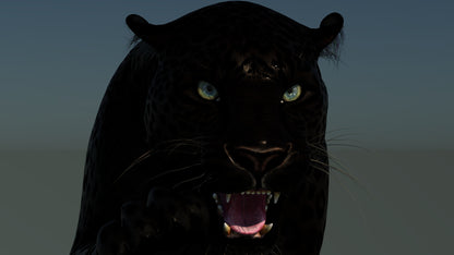 Rigged Black Panther 3D Model