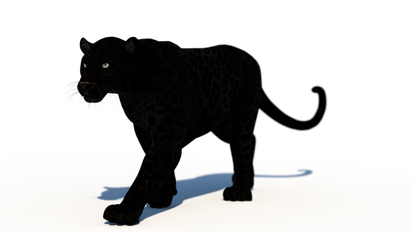 Rigged Black Panther 3D Model