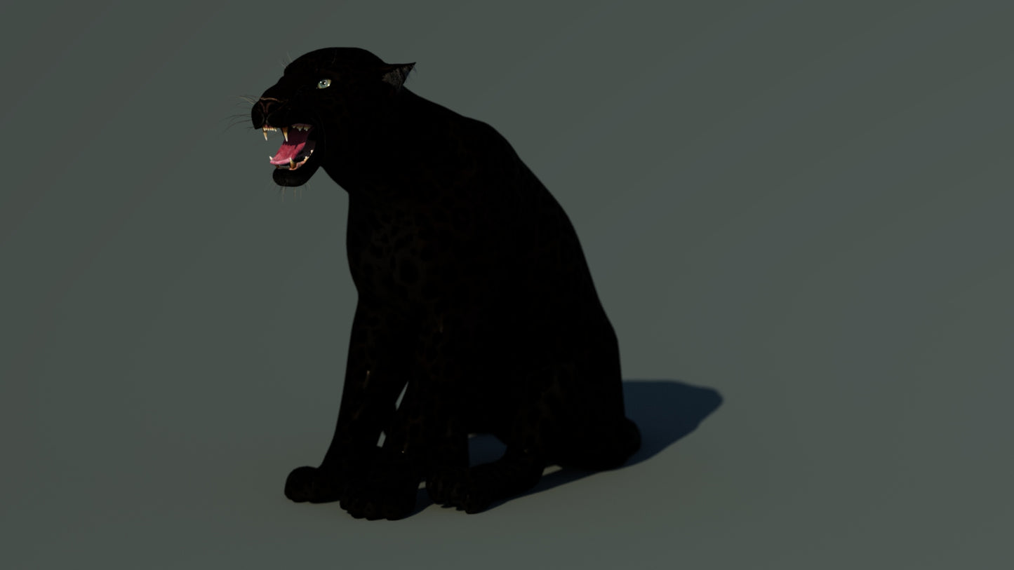 Rigged Black Panther 3D Model