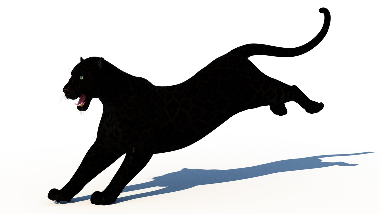 Rigged Black Panther 3D Model