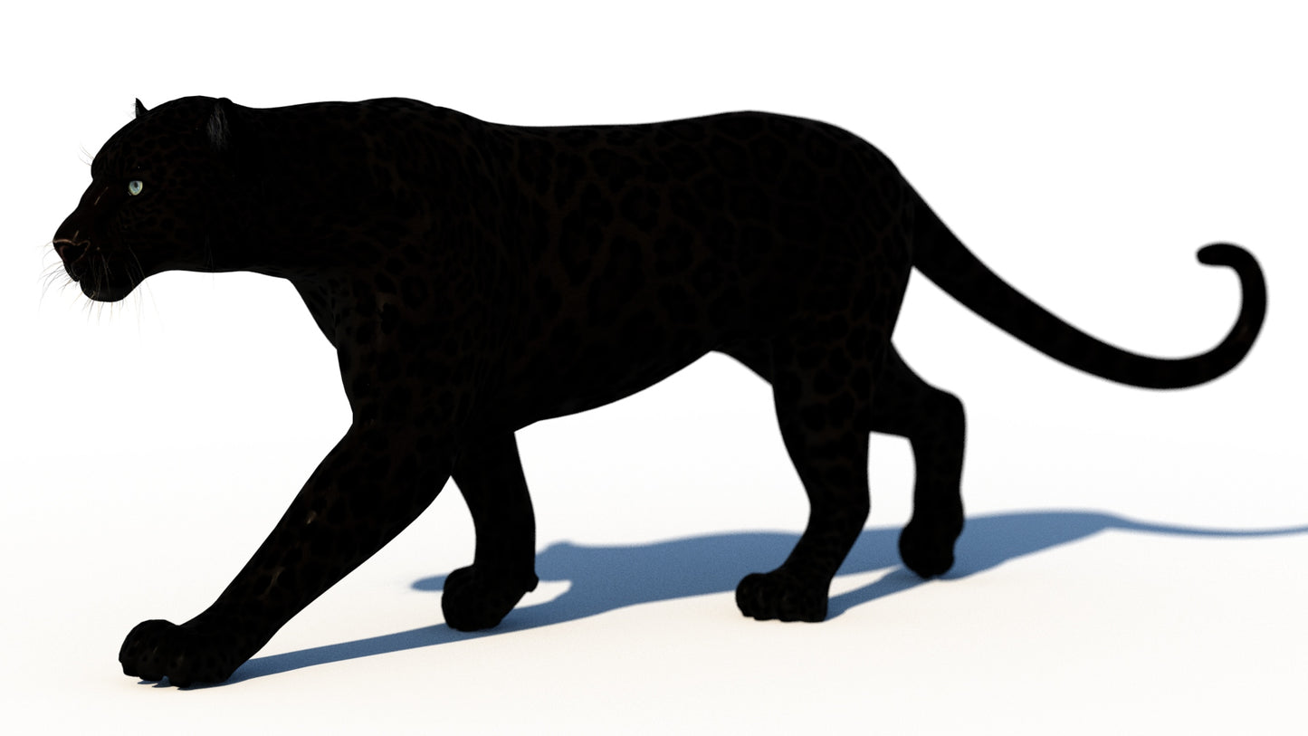 Rigged Black Panther 3D Model