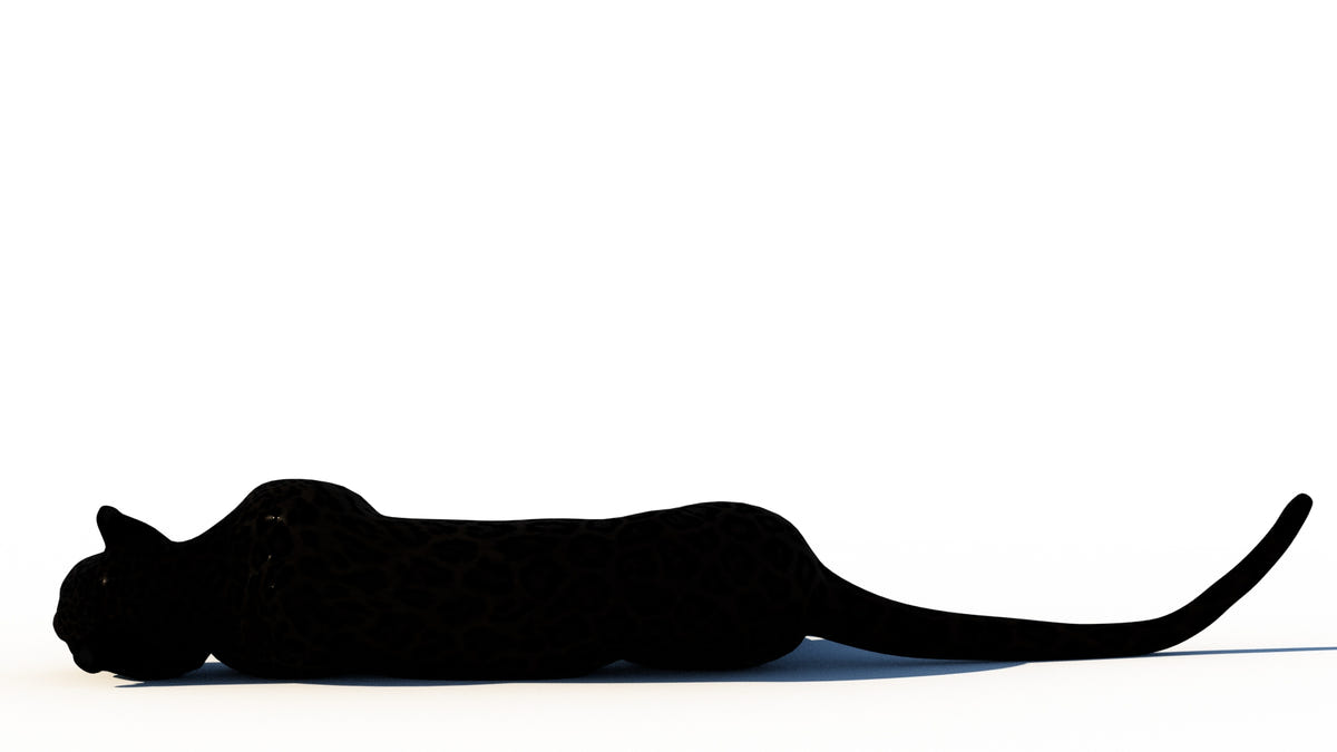 Rigged Black Panther 3D Model for Download