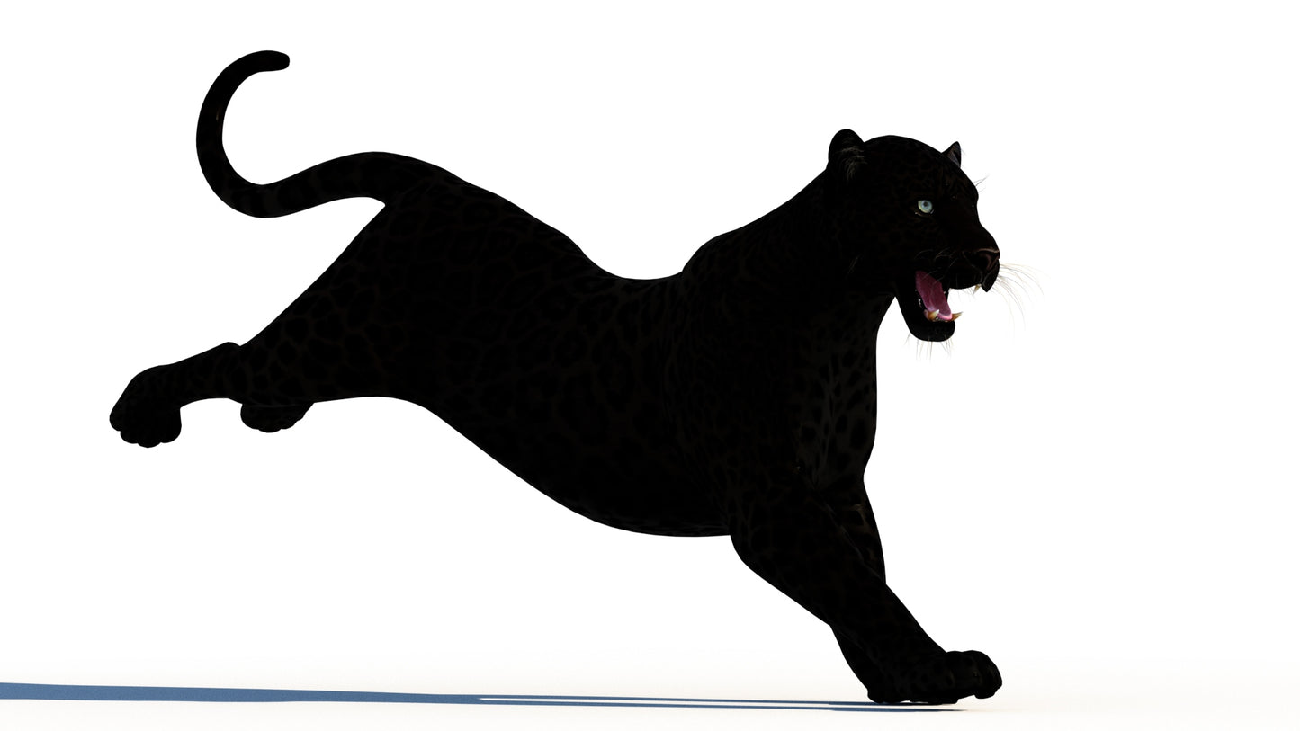 Rigged Black Panther 3D Model