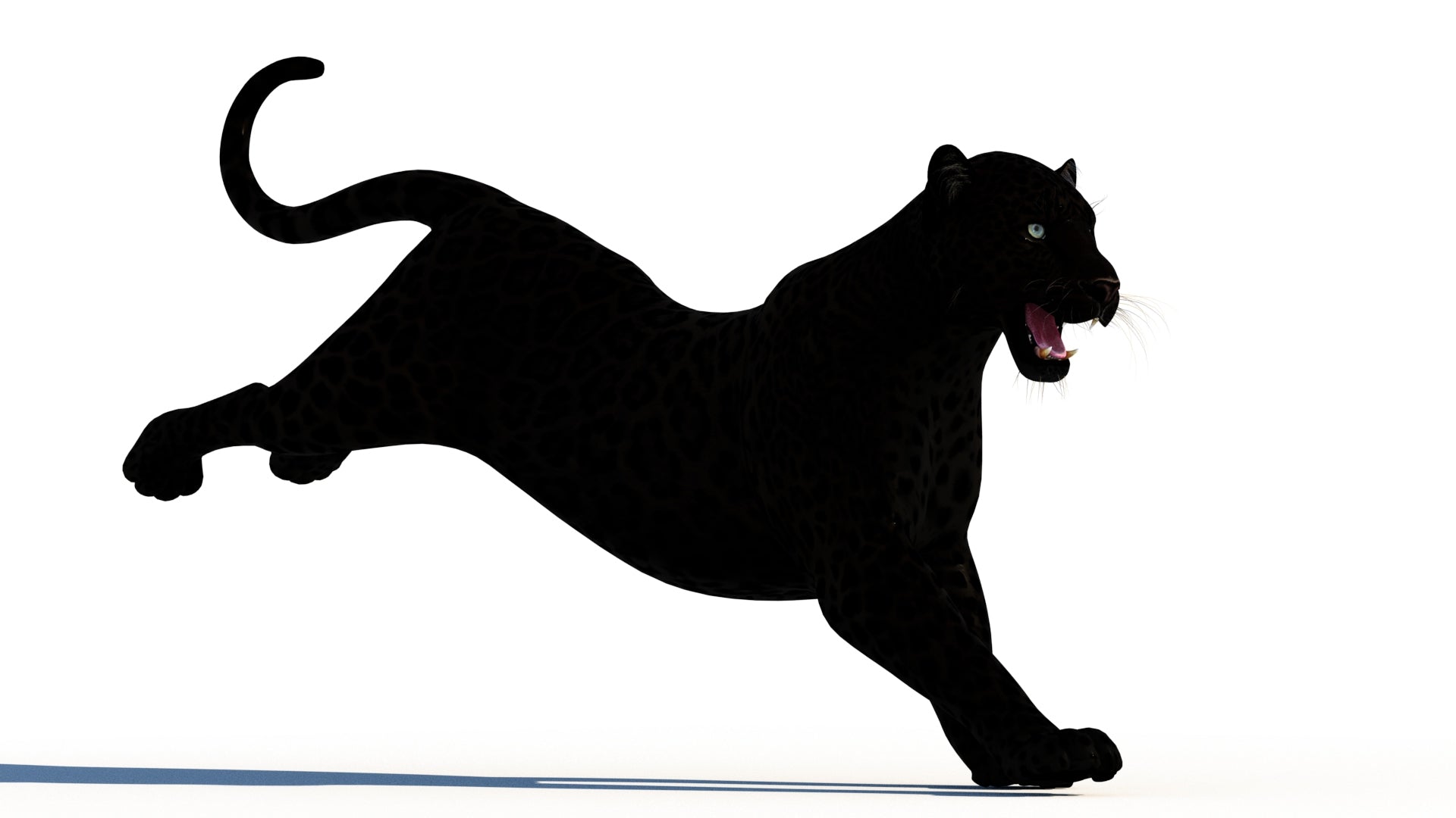 Rigged Black Panther 3D Model for Download